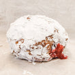 Raspberry jam filled doughnut coated in powdered sugar